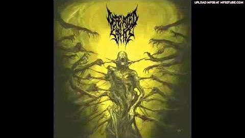 Defeated Sanity - Verblendung (New Song 2013)