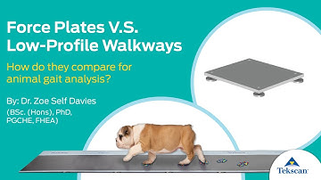 Force Plates VS Low-Profile Pressure Mapping Walkways - Which is Better for Animal Gait Analysis?