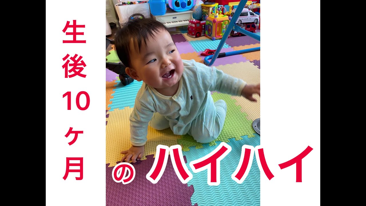 生後10ヶ月のハイハイ ハイハイ 生後10ヶ月 子育て Youtube