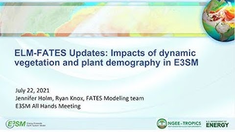 ELM-FATES Updates: Impacts of Dynamic Vegetation and Plant Demography in E3SM