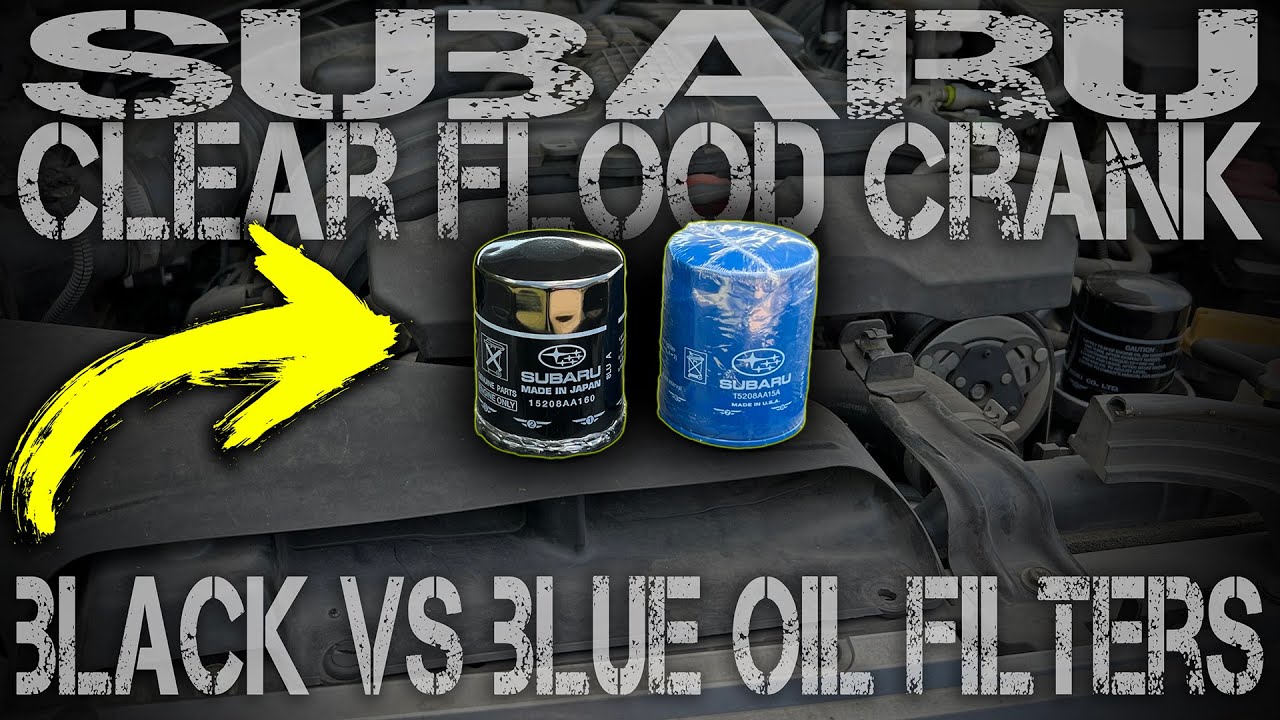 Subaru Oil Filter Blue Vs Black: Ultimate Guide Revealed