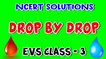 Drop By Drop | EVS Class 3 | NCERT Solutions for Class 3 EVS | Chapter 20 | Carry Education