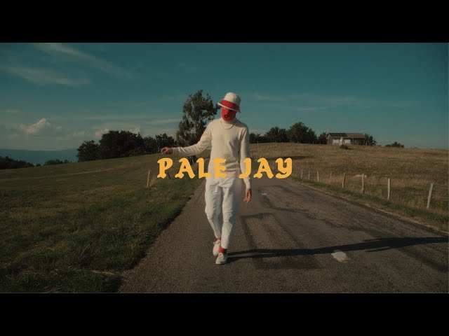 Pale Jay - In Your Corner