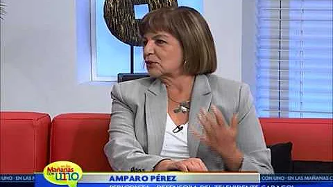 Amparo Prez y su labor de defensora del televidente