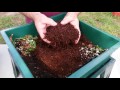 Vermicomposting With The Worm Factory 360