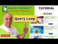 Bricks Tutorial - Query Loop Personalizado a una Categoría en las Entradas de WordPress