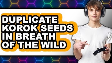 How to Duplicate Korok Seeds in Breath of the Wild