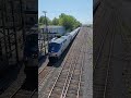Amtrak Eastbound (Maple Leaf?) #shorts #amtrak #railfanning thumbnail