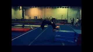 Gym Sampler
