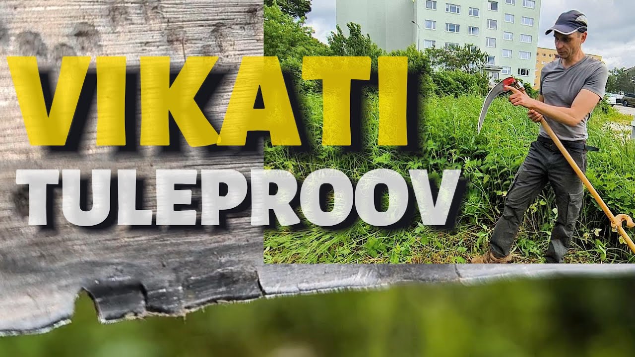 Kuidas peab vastu Vikatimeistri vikat ja Austria vikatitera?