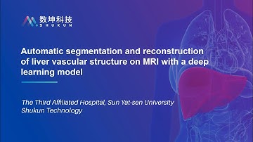 ISMRM｜Automatic segmentation and reconstruction of liver vascular structure on MRI