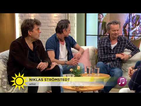 Roligaste som finns att spela musik som folk kan - Nyhetsmorgon (TV4)