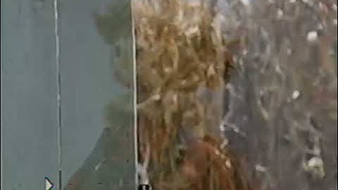 Halloween Party (2001 Version) Part 19