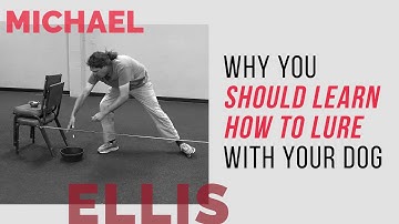 Why You Should Learn How to Lure Your Dog with Michael Ellis