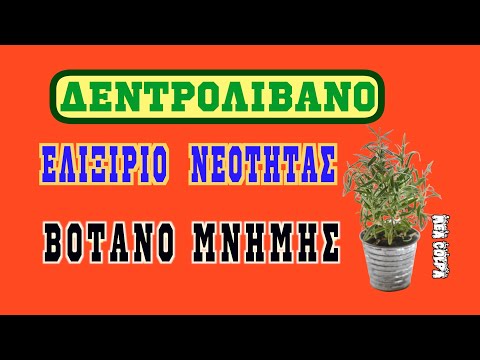 Видео: Цэцгийн саванд байгаа хурга - хуруу шилэнд хурга ургадаг (2-р хэсэг)