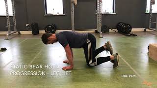 Static Bear Hold   Progression Leg Lift