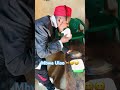 Kicheche Comedy Mbwa Uloo Trending Video Comedy Kicheche Comedy Mbwa Uloo Trending Video Comedy