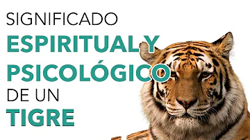 ¿Qué quiere decir ser un tigre?