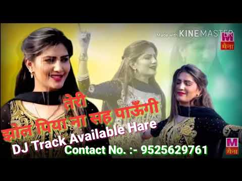 Teri Jhol Piya Na Sah Paungi (Sapna Choudhary) Dj Full Song