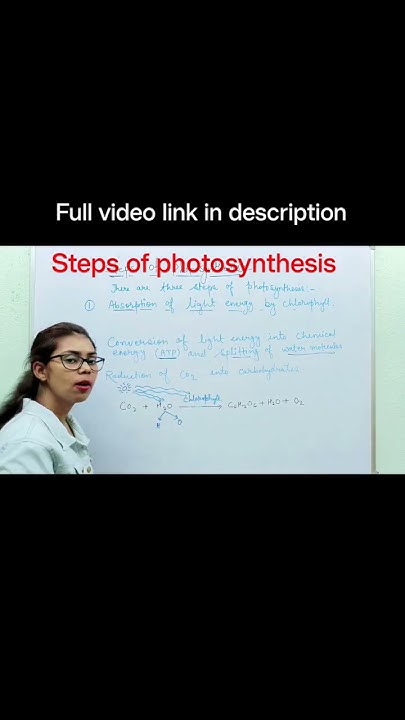 mechanism-of-photosynthesis-class-10-science-shorts-youtubeshorts