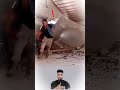 اللطف الإلهي كان أسرع من الانهيار