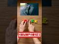 Homophones Explained | Fun Word Pairs for Easy English Learning!