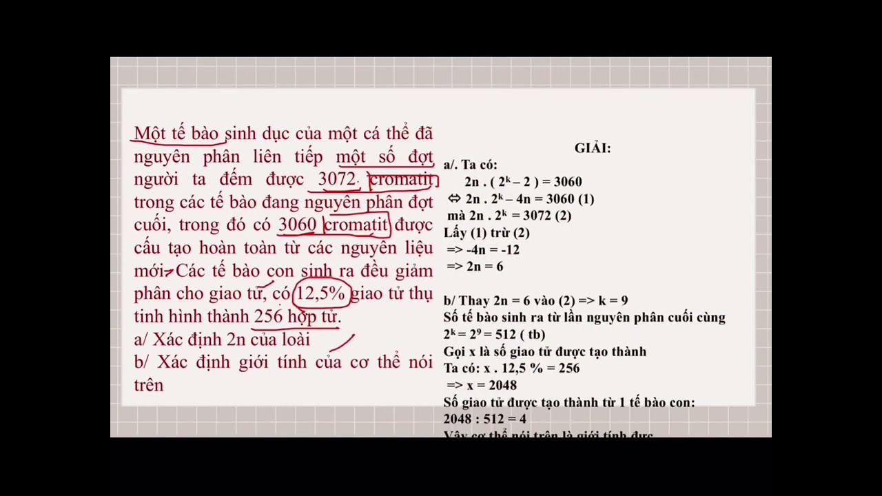 Ôn thi học sinh giỏi sinh học| Bài tập Nguyên Phân - Giảm Phân - Thụ Tinh nâng cao