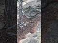 Қарқаралы
