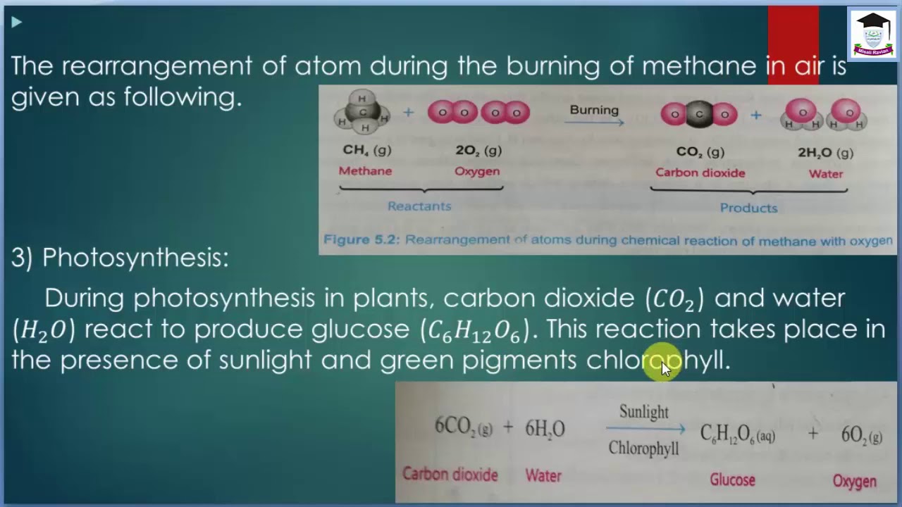 Science Chapter 5 Lecture 3 Class 8th YouTube