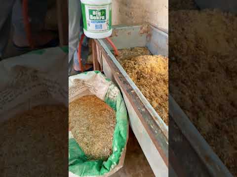 खुराक होगी बैलेंस…तो पशु देगा फुल परफॉर्मेंस🔥 #rooftop #goatfarming #facts #fun #learn