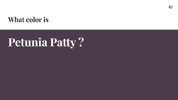 Petunia Patty color #4b3c4b hex color - Grey color - Cool color 4b3c4b