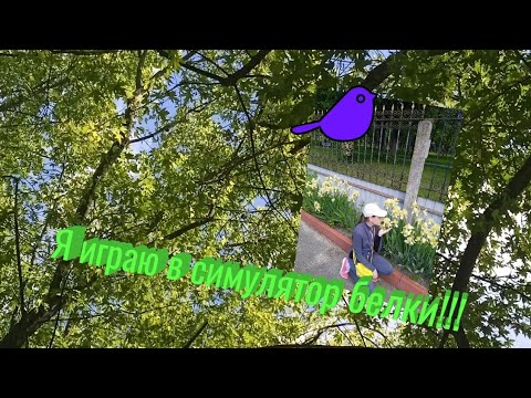 Я играю в симулятор белки!