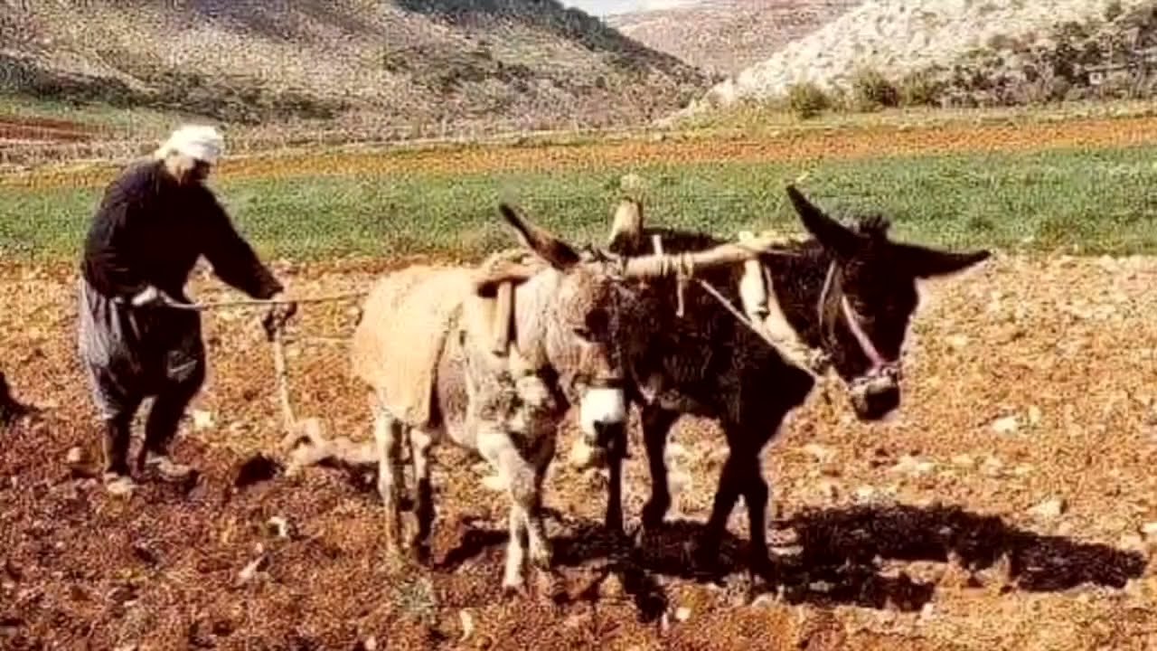 الضيعة و القرية ذكريات من الماضي الجميل التي لا تنسى