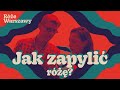 Jak powstaje nowa odmiana róży