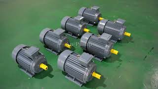 How to Select the Right Pump Motor | Voltage, Frequency & Power Explained