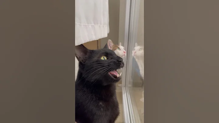 ekekekkekkek 🗣️🗣️