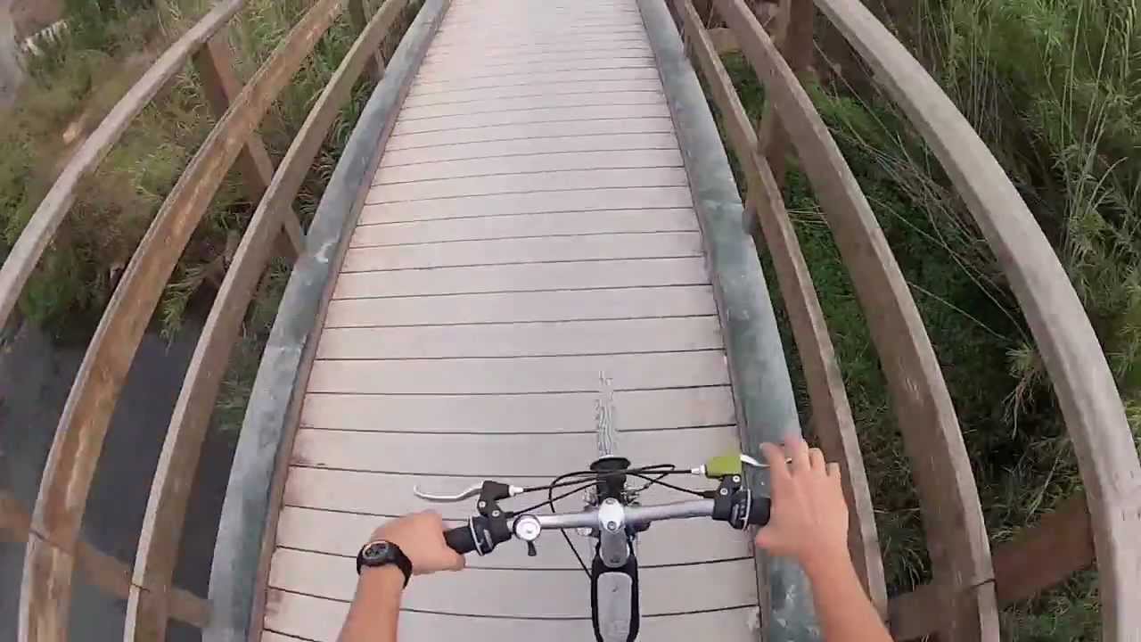 YouTube player