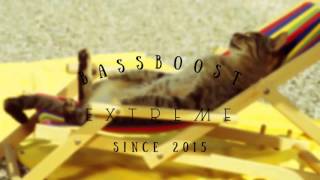 Robin Schulz  Show Me Love bass Boosted