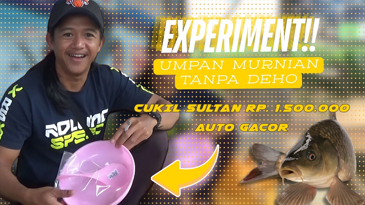 MANCING PAKE UMPAN TANPA CAMPURAN APAPUN !! DIKIRA GAAKAN DAPAT TERNYATA JADI YANG TERBANYAK