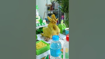 Cùng Đồ Cúng Việt khám phá mâm cúng thôi nôi, đầy tháng tone xanh lá siêu hot