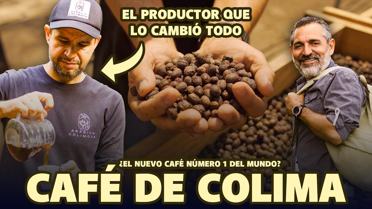 ¿El nuevo CAFÉ NÚMERO 1 DEL MUNDO? Así lo está logrando Hugo Salazar en Colima  | Colima Sabe