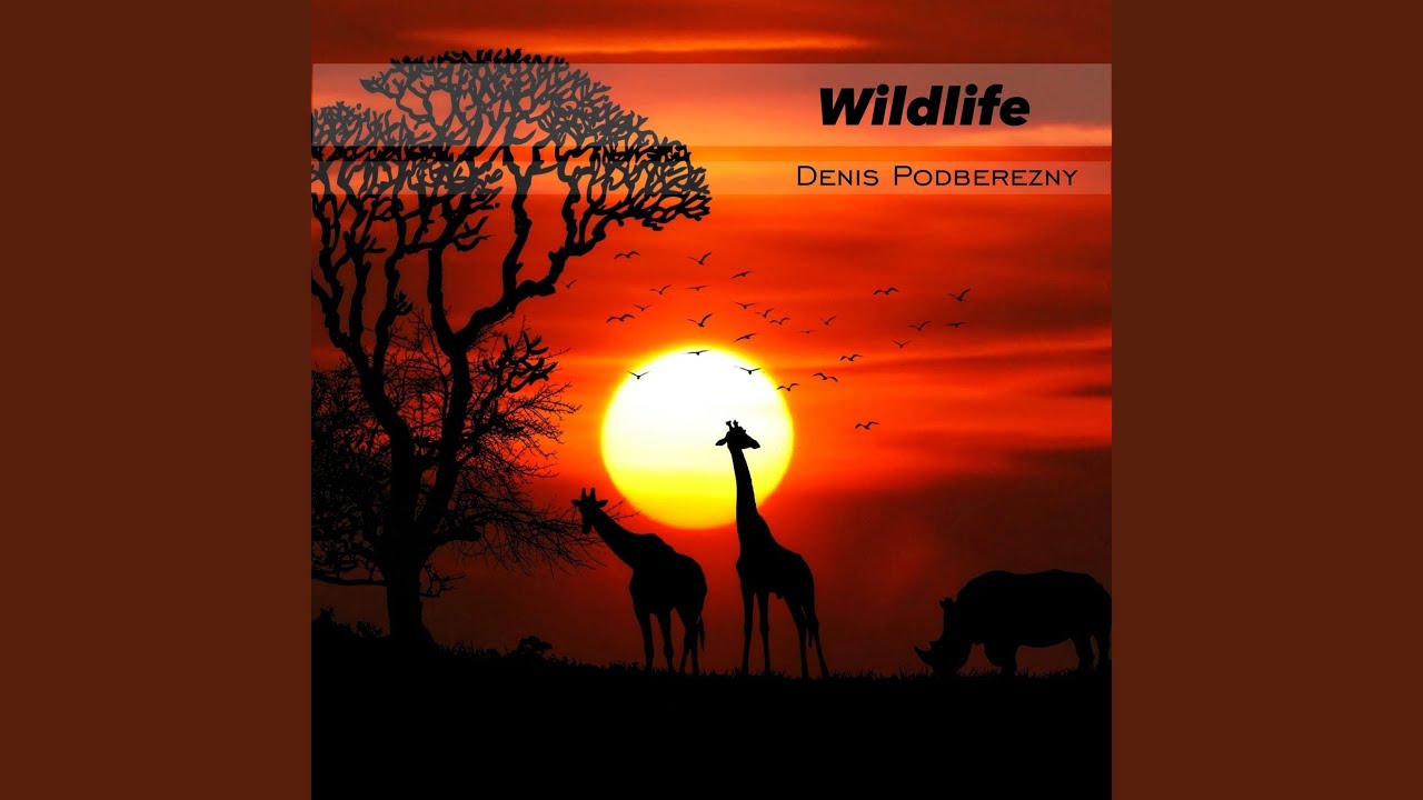 Watch Wildlife on YouTube Watch Wildlife on YouTube
