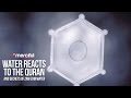 Water Reacts to the Quran & Secrets of ZamZam