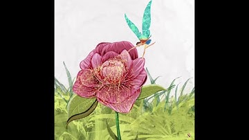 Fairy flower on Procreate (long timelapse)