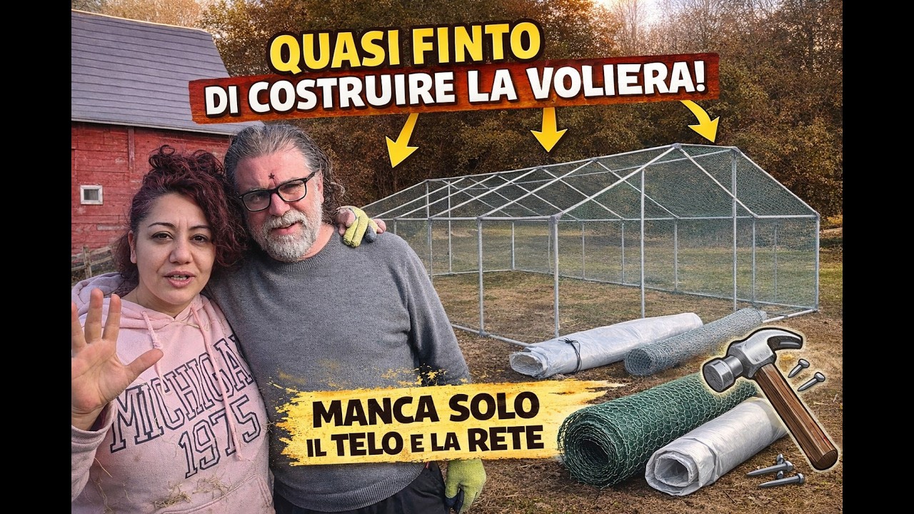 QUASI FINITA LA VOLIERA #fattoria #montagna #vitainmontagna #natura #voliera #pollaio #campagna