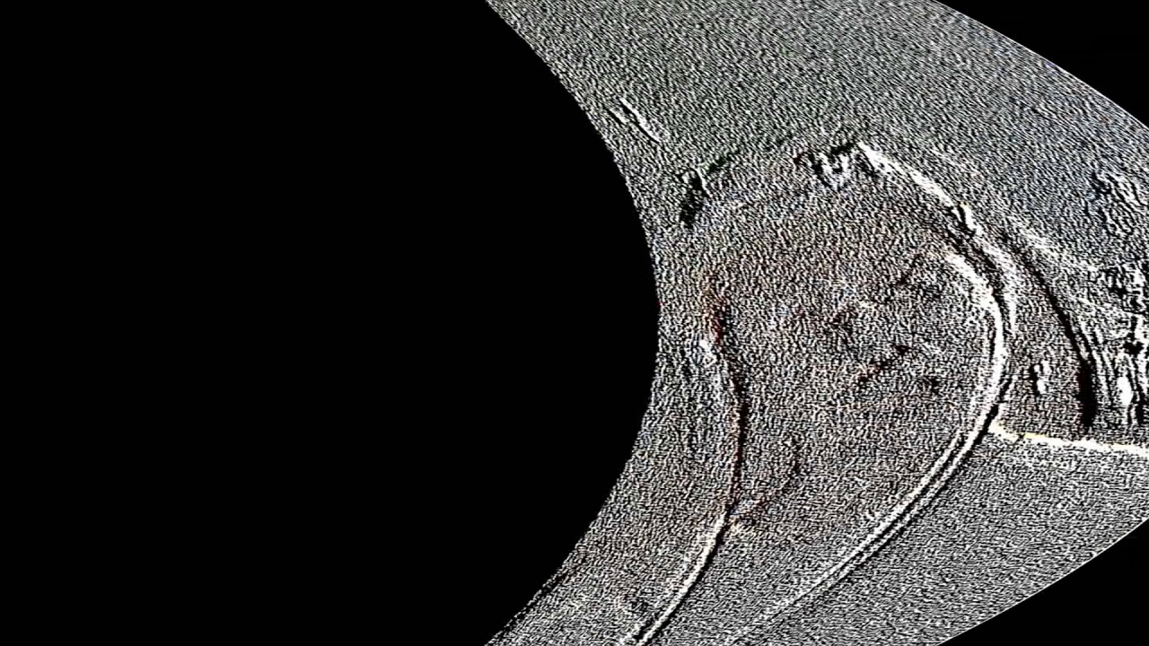 fun time in auckland