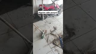 porque echo tierra en el piso del taller? solo para inteligentes 😀 #selfimprovement #taller