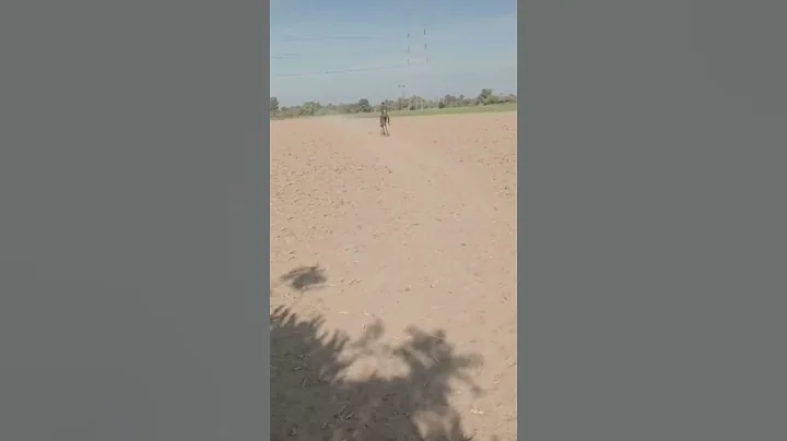 First fall on remi#equestrian😍#horse #fail #funny #horses#showjumping #pets #horseriding#fun