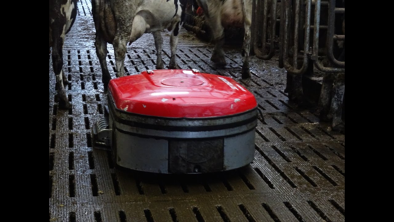 Lely «Discovery 120 Collector»: Sammeln statt schieben