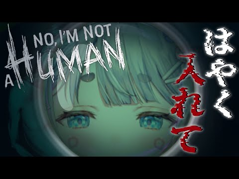 video thumb